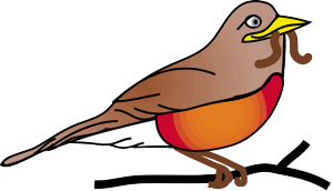 Red Robin
