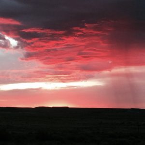 Arizona