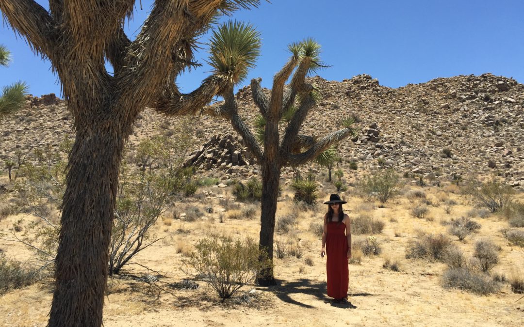 Fun Facts about Joshua Trees