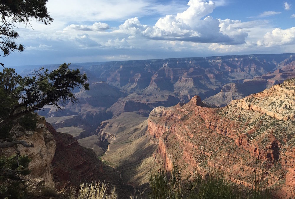 Celebrating National Parks in your Classroom