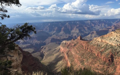 Celebrating National Parks in your Classroom