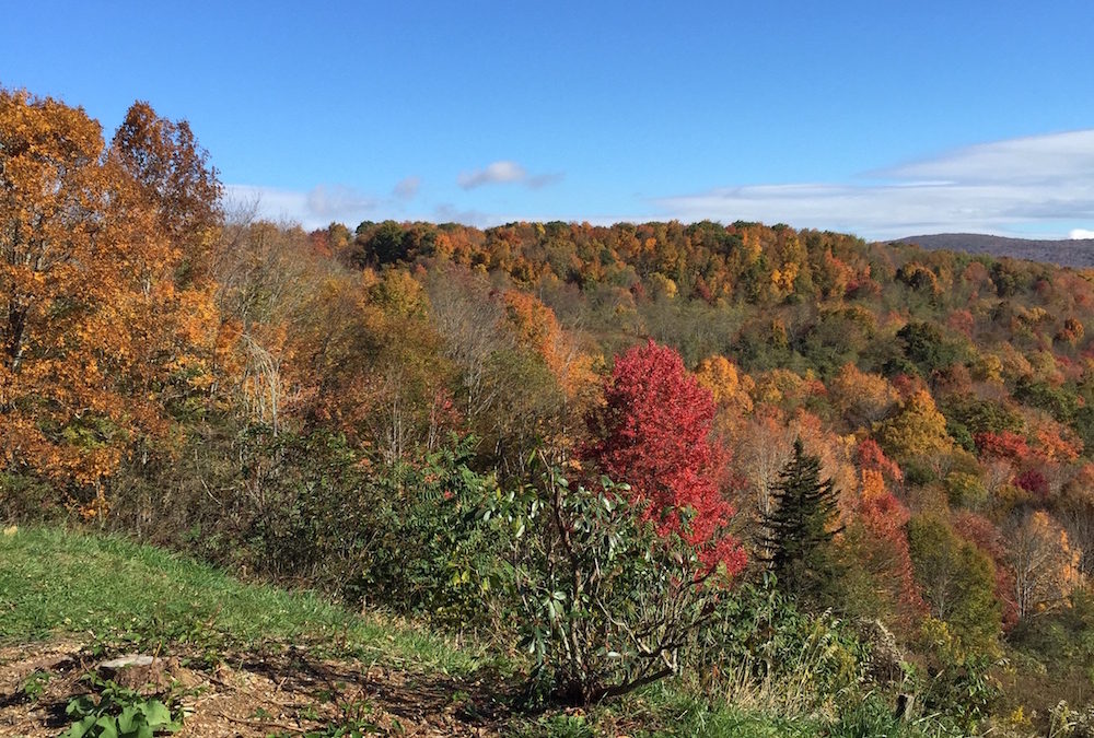 Fall Fun in Tennessee