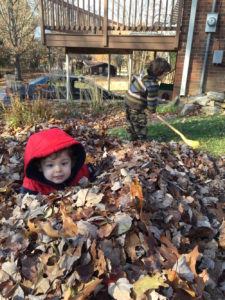 rakingleaves