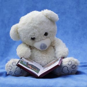 picturebook